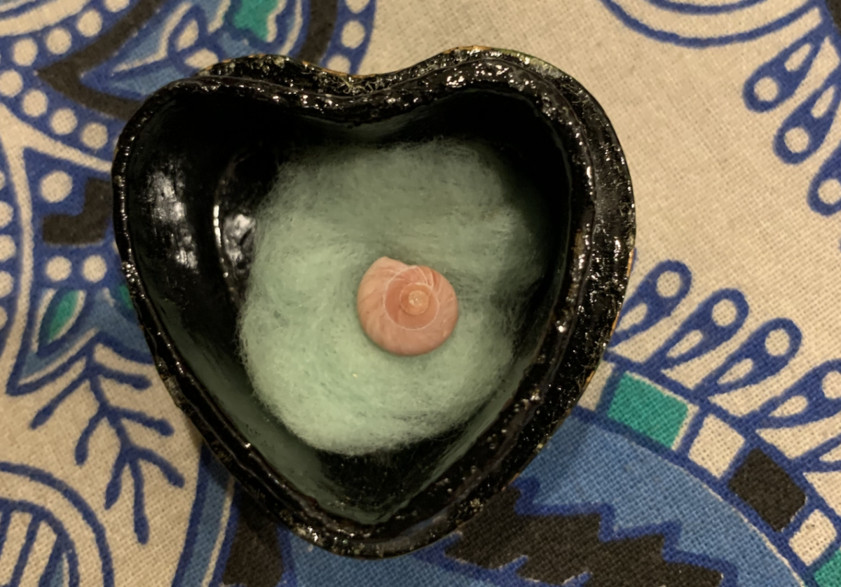 “A Gift of Pearls from His Ocean”